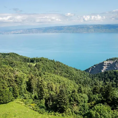 Le P'tit Suisse, Savoyard 샬레